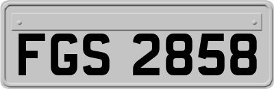FGS2858