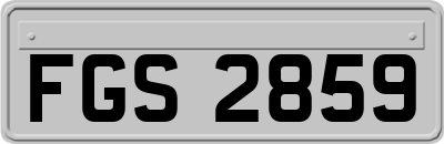 FGS2859
