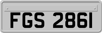 FGS2861
