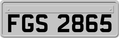 FGS2865