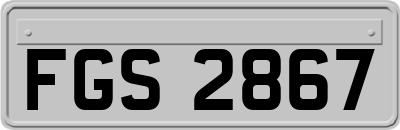 FGS2867