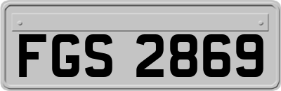 FGS2869