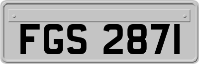 FGS2871