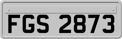 FGS2873