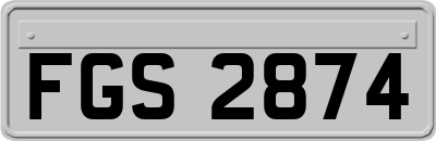FGS2874