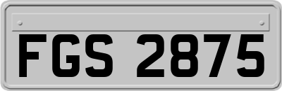 FGS2875