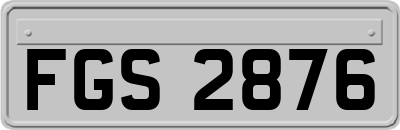 FGS2876