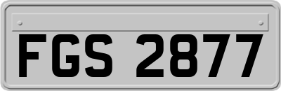 FGS2877