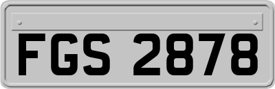 FGS2878