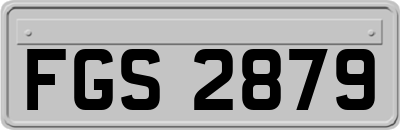 FGS2879