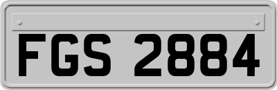FGS2884