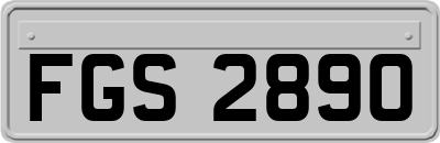 FGS2890