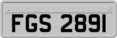 FGS2891