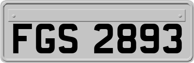 FGS2893