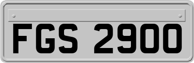 FGS2900