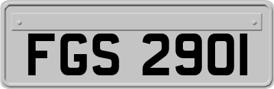 FGS2901