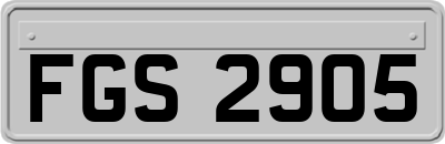 FGS2905