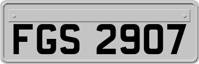 FGS2907