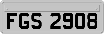 FGS2908