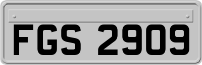 FGS2909