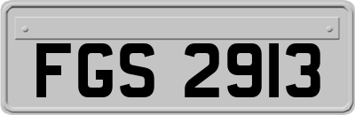 FGS2913
