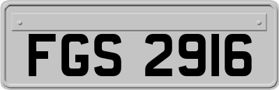 FGS2916