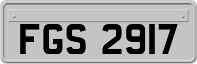 FGS2917