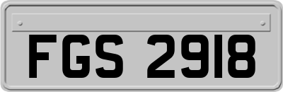 FGS2918
