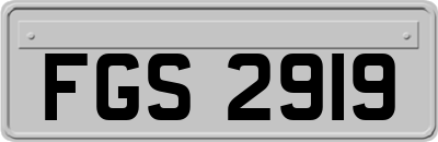 FGS2919