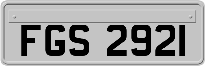 FGS2921