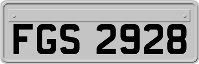 FGS2928