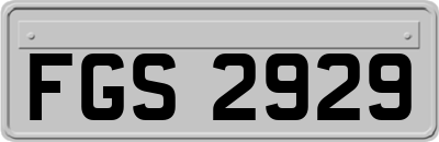 FGS2929