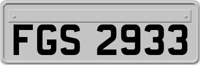 FGS2933