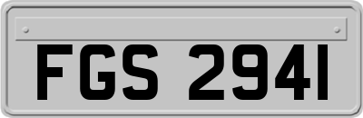 FGS2941