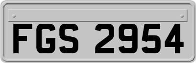 FGS2954