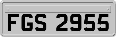 FGS2955