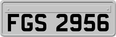 FGS2956