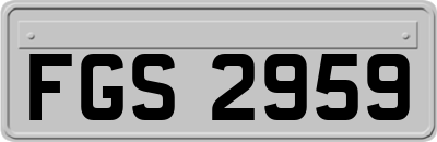 FGS2959