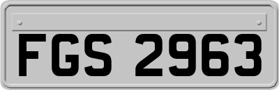 FGS2963