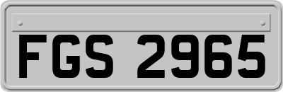 FGS2965
