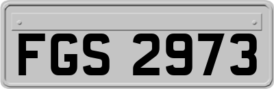 FGS2973