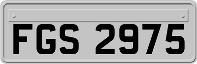 FGS2975