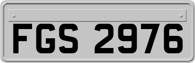 FGS2976