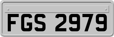 FGS2979