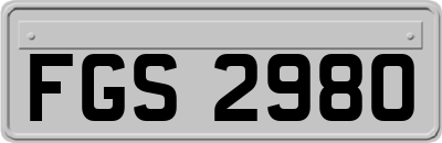 FGS2980