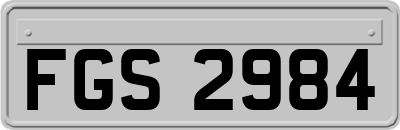 FGS2984