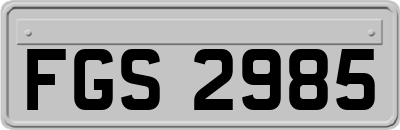 FGS2985