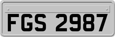 FGS2987