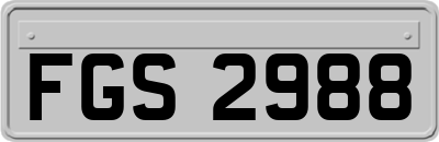 FGS2988