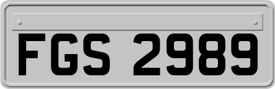 FGS2989